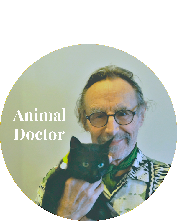Animal Doctor, The