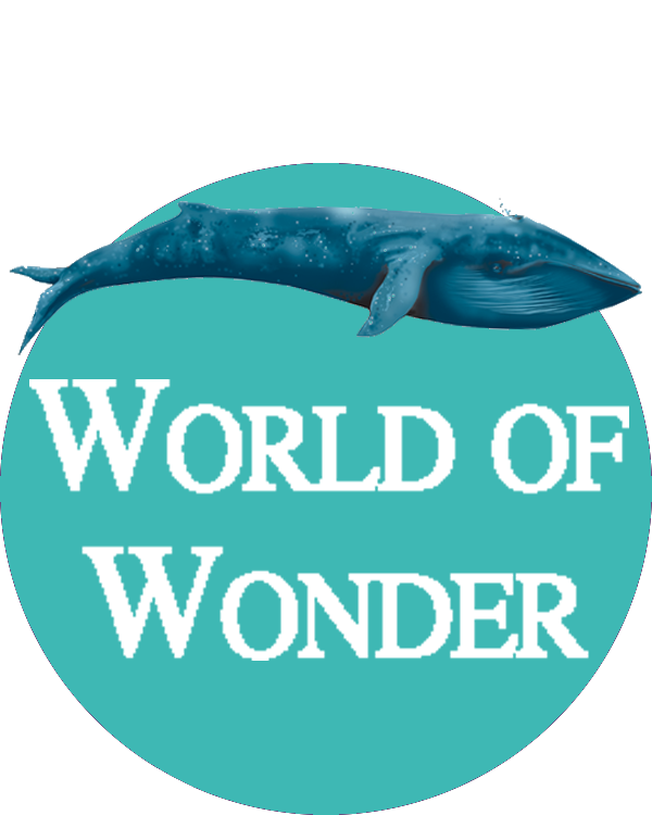 World of Wonder